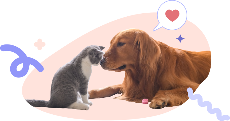 Multi-Breed Friendly