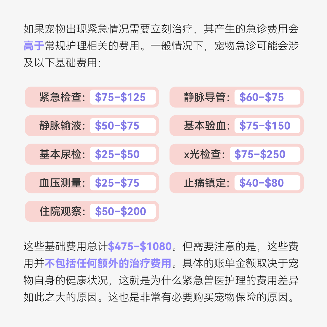 宠物看病费用.png